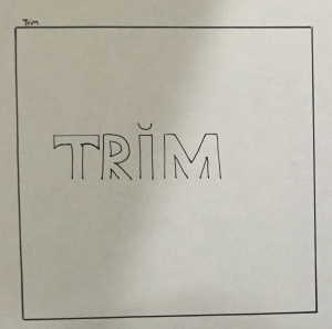 ExpressiveTypography-trim
